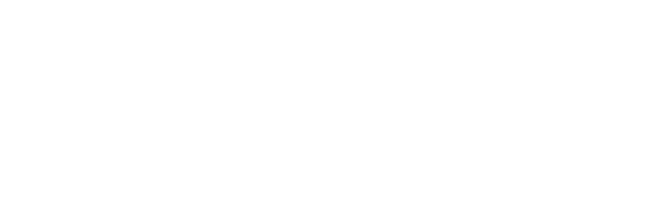 酒泉数维网络技术有限公司 - 官网定制开发与政企上云服务